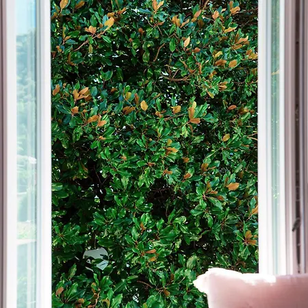 Riva - By Myhomeincomo Вилла *